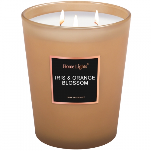 Iris & Orange Blossom Large Jar Candle | SELECTION SERIES 1316 Model