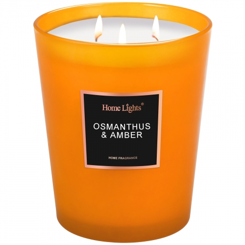 Osmanthus & Amber Large Jar Candle | SELECTION SERIES 1316 Model